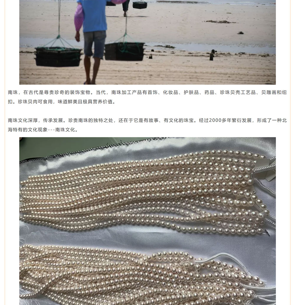 古老南珠，綻放異彩