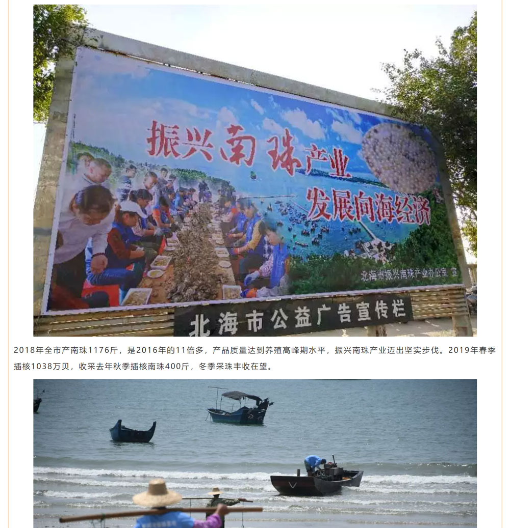 古老南珠，綻放異彩