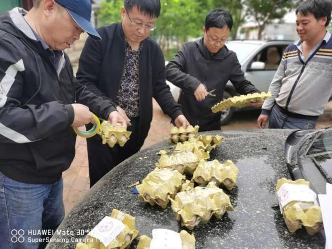 进入5月份,沧县农业农村局组织执法,监管,检测人员深入食用农产品生产